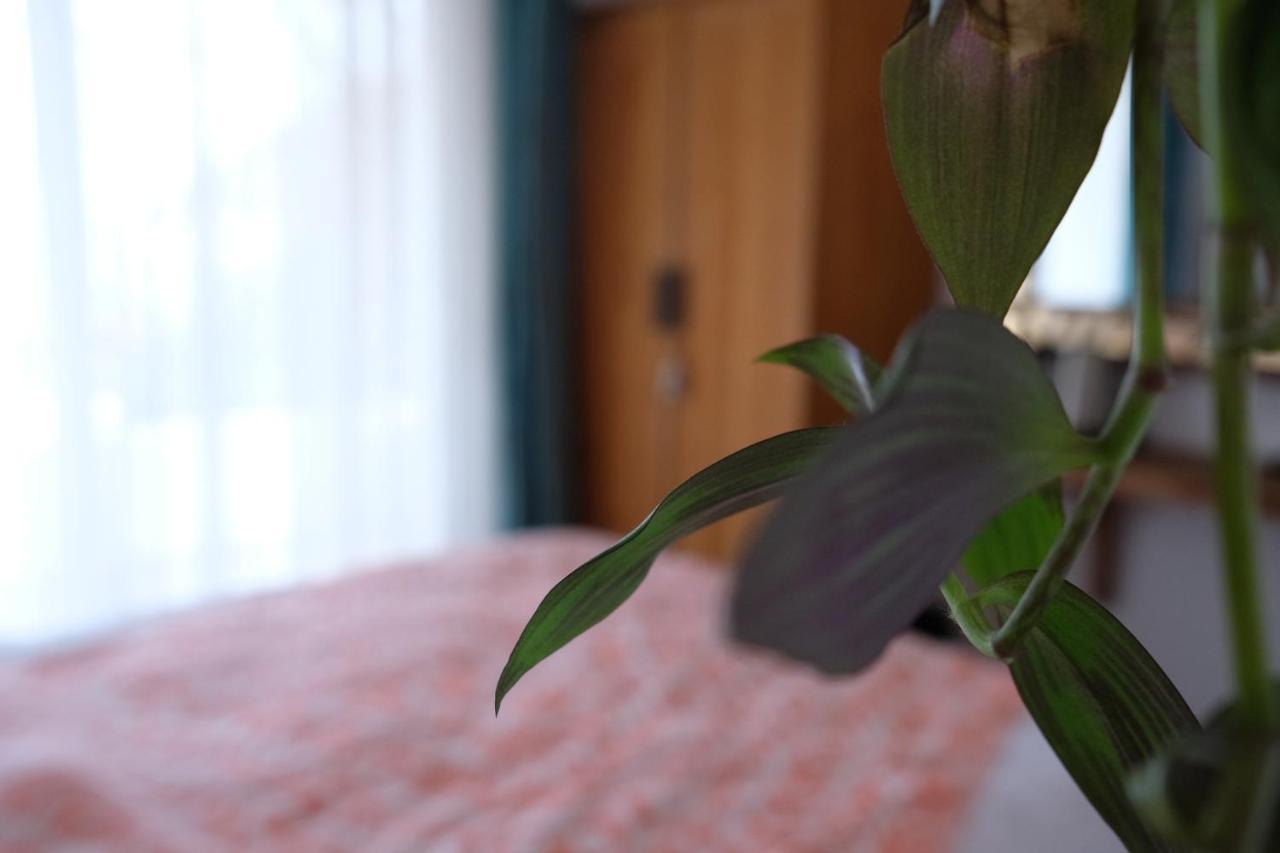 Ceneviz Hotel Adrasan Zewnętrze zdjęcie